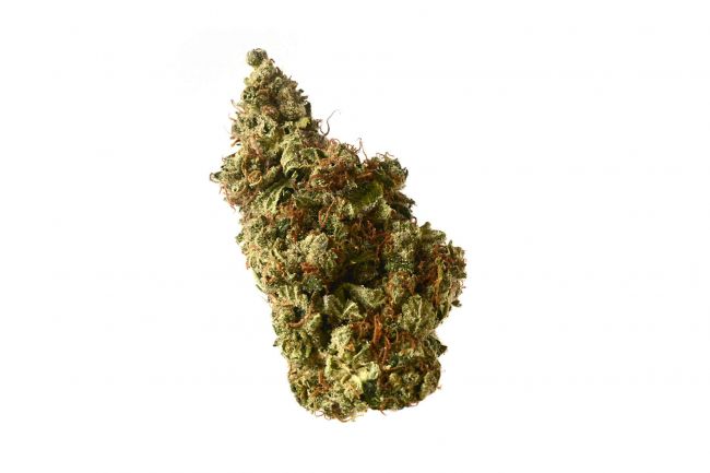 Milkshake Kush Auto Feminised Seeds
