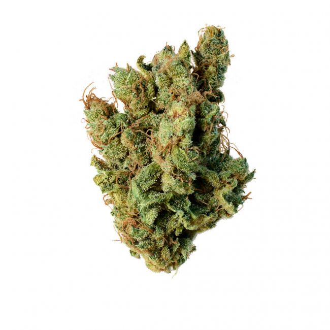 Super Silver Haze Feminised Seeds