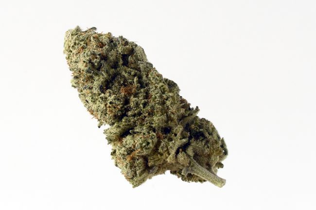 Green Magic Feminised Seeds