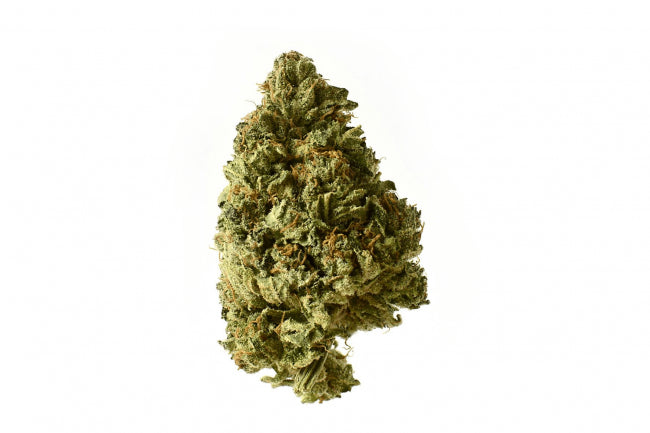 White Choco Auto Feminised Seeds