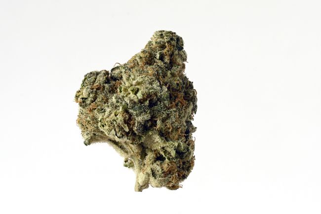 AK Choco Kush Feminised Seeds