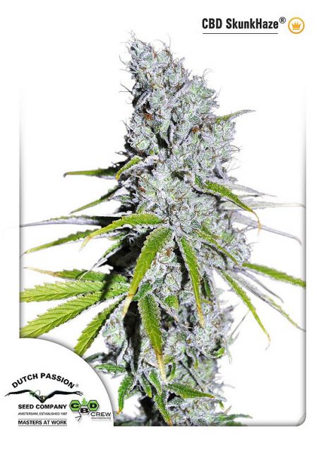 Skunk Haze CBD Feminised Seeds