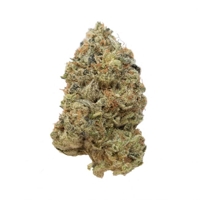 Tangerine G Feminised Seeds