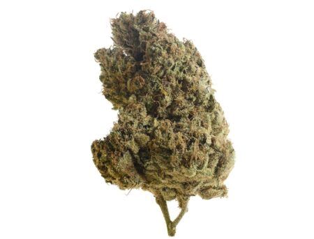 Lemongrass Feminised Seeds