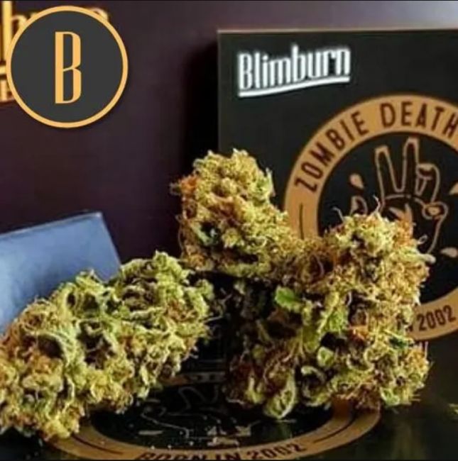 Zombie Death Fuck Feminised Seeds