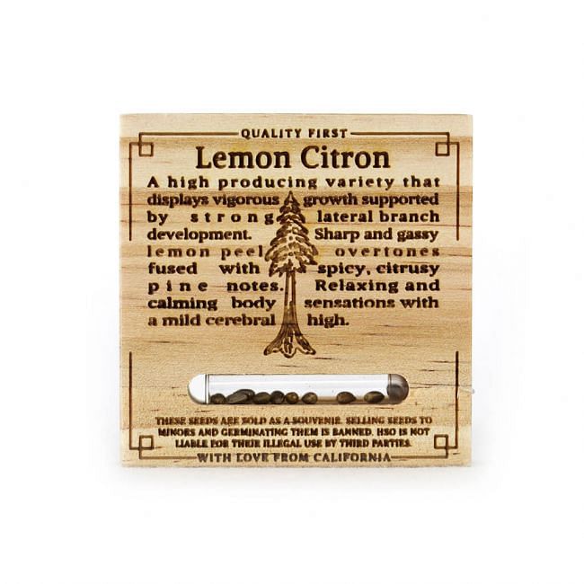 Lemon Citron Feminised Seeds