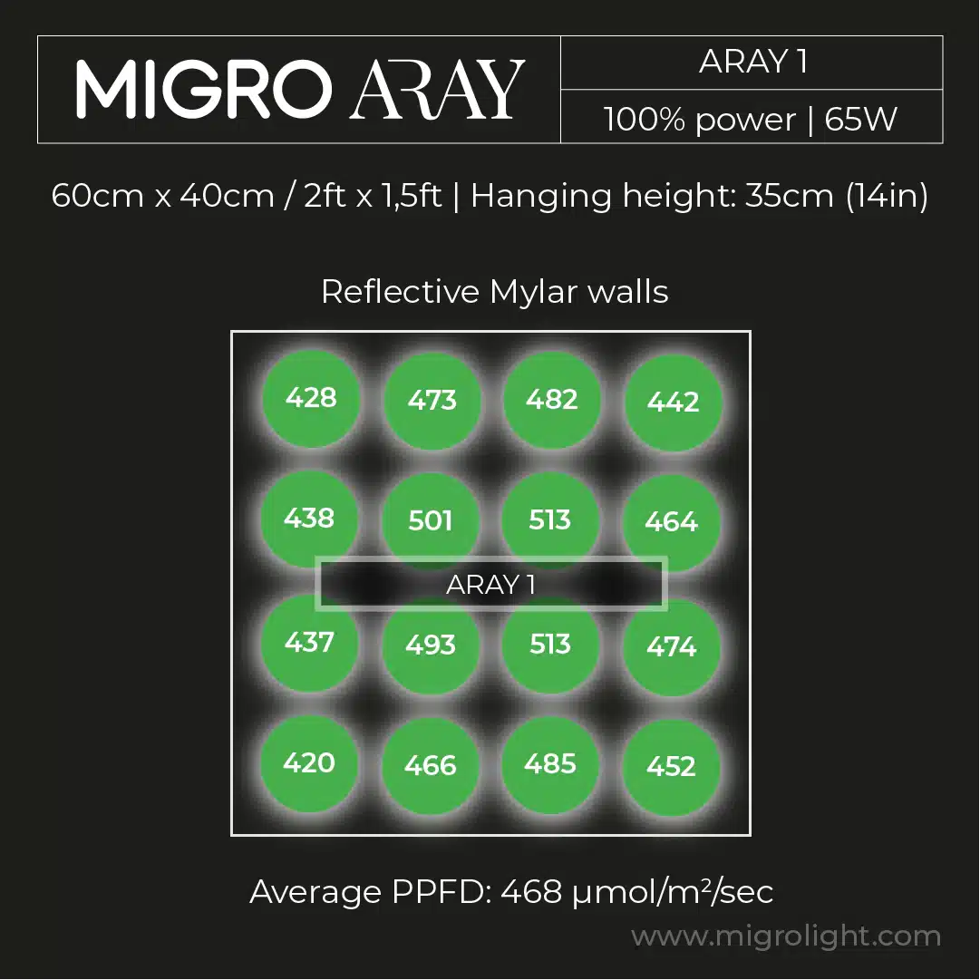 MIGRO ARAY 1 | LED-Pflanzenlampe für Sämlinge und Stecklinge