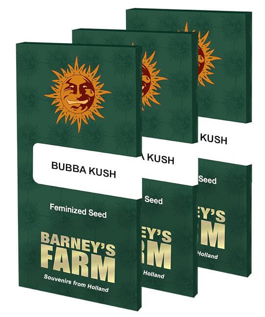 Bubba Kush Feminised Seeds