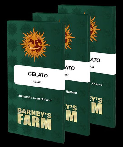 Gelato Feminised Seeds