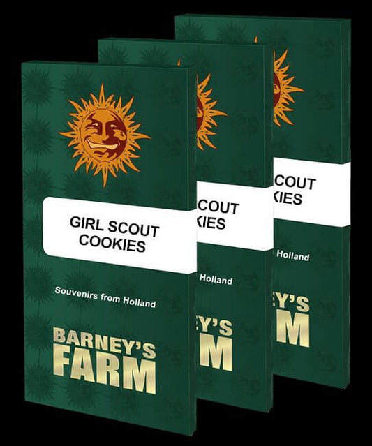 Girl Scout Cookies Feminisierte Samen 