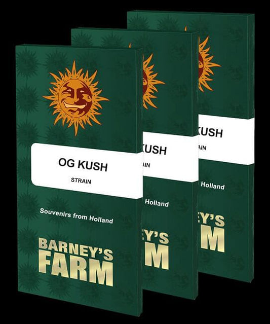 OG Kush Feminised Seeds